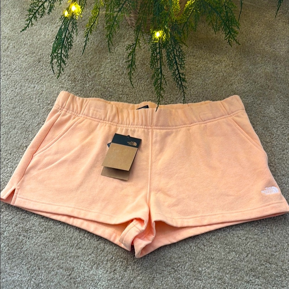 The North Face Women's Apricot Ice Shorts